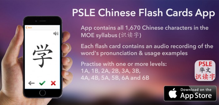 PSLE Chinese Flash Cards