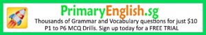 English grammar and vocabulary drills